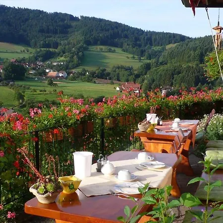 Transylvania House Affittacamere *